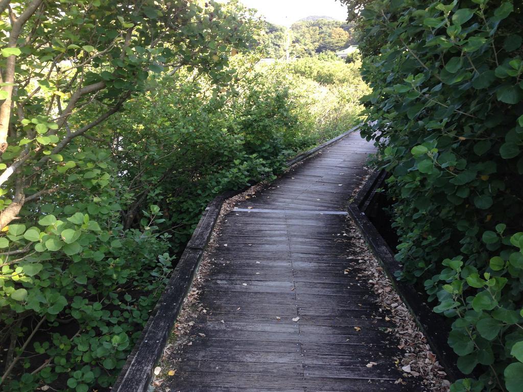 Retreat Wabi-Sabi - Walk To Ohama Beach - Max 12 Ppl Шимода Екстериор снимка